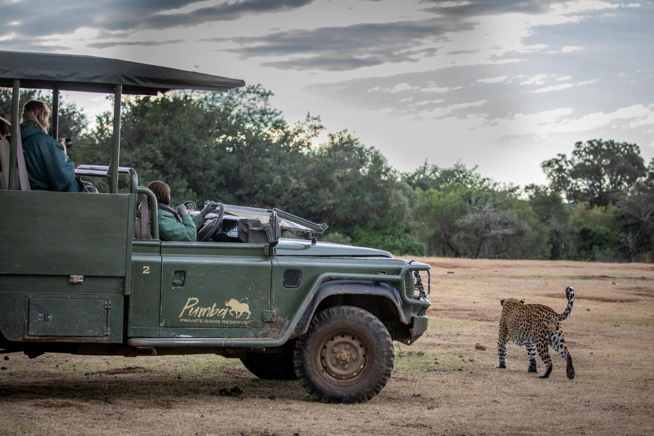 Pumba Private Game Reserve Grahamstown Eksteriør bilde