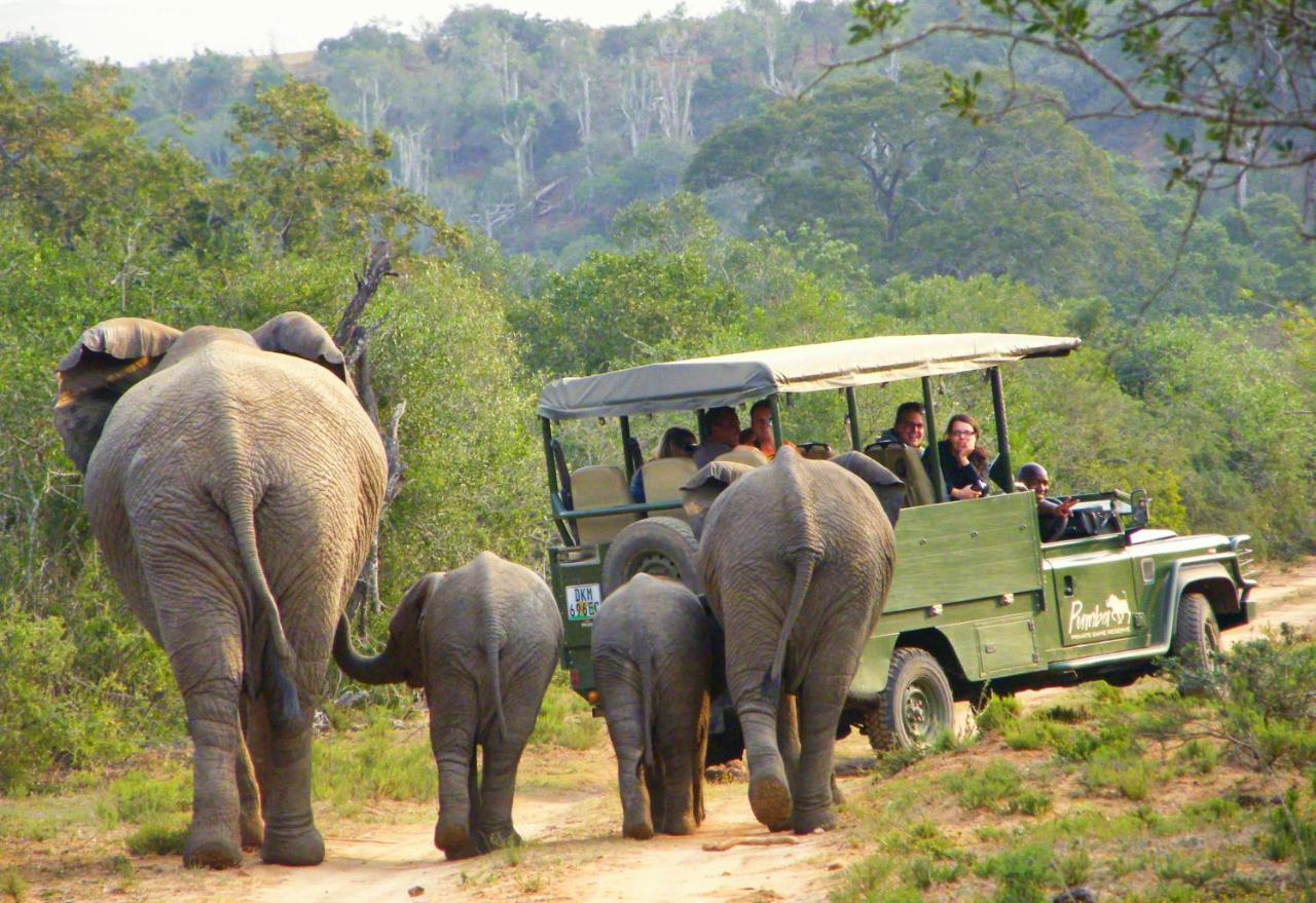 Pumba Private Game Reserve Grahamstown Eksteriør bilde