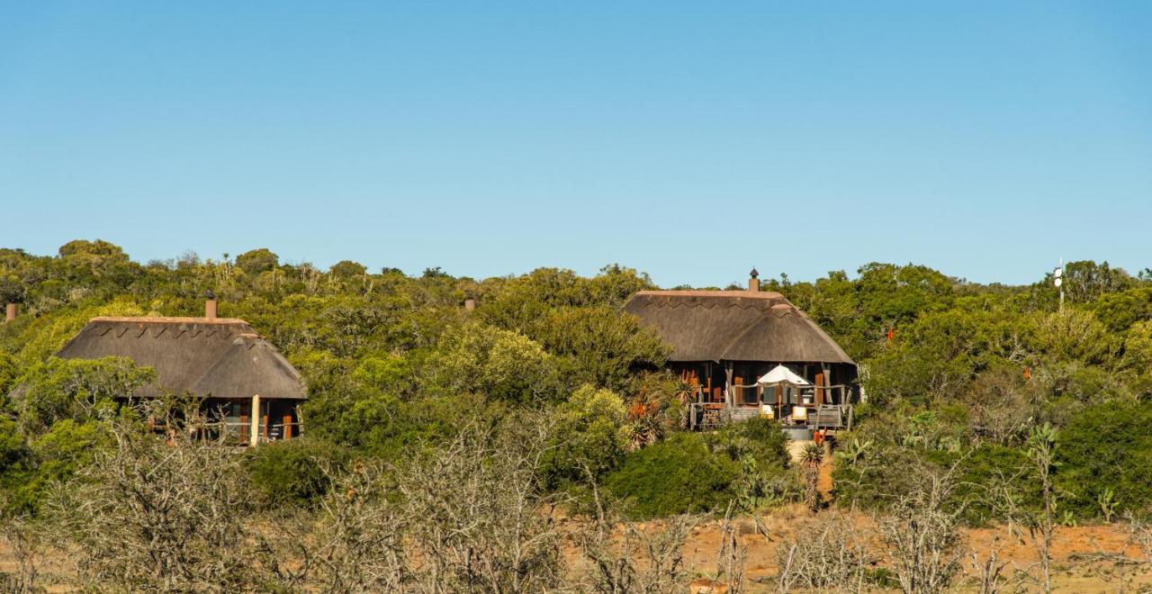 Pumba Private Game Reserve Grahamstown Eksteriør bilde